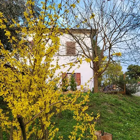 Casa Fleurdelys Toscana アパート