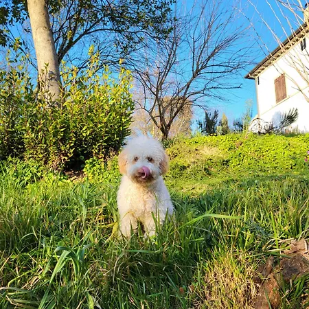 アパート Casa Fleurdelys Toscana Fauglia