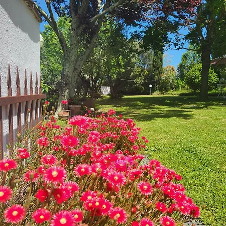 アパート Casa Fleurdelys Toscana *